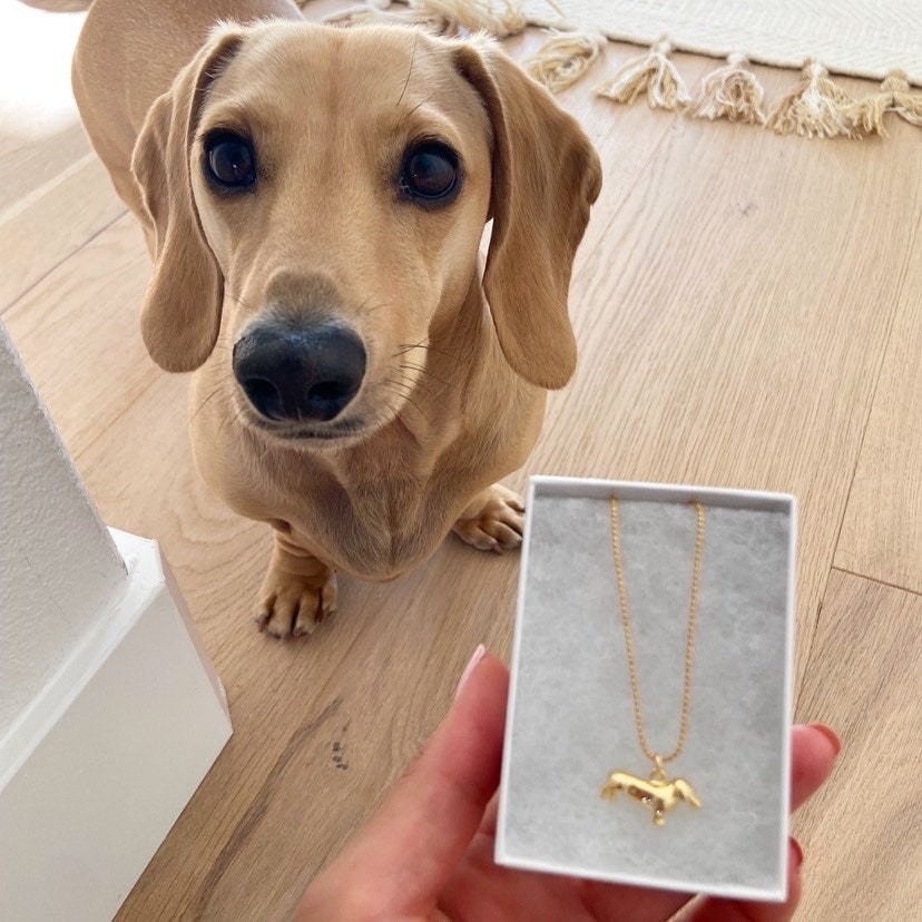 Gold Dachshund Dog Necklace Ball Chain
