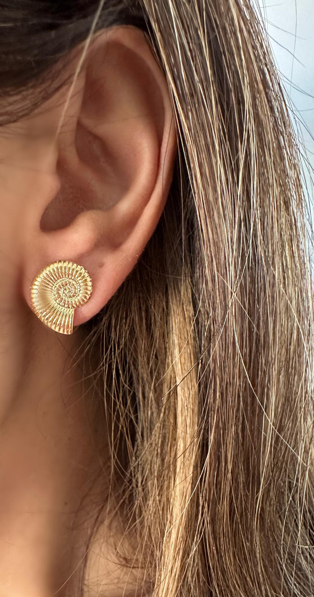 Gold Sea Shell Stud Earrings