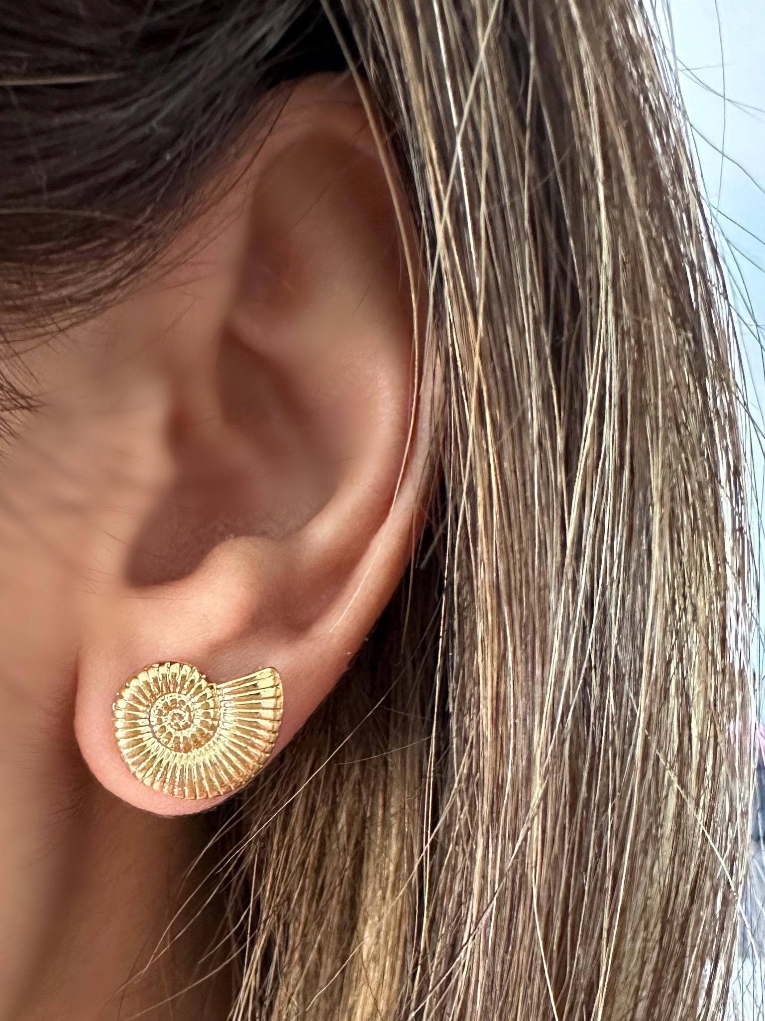 Gold Sea Shell Stud Earrings