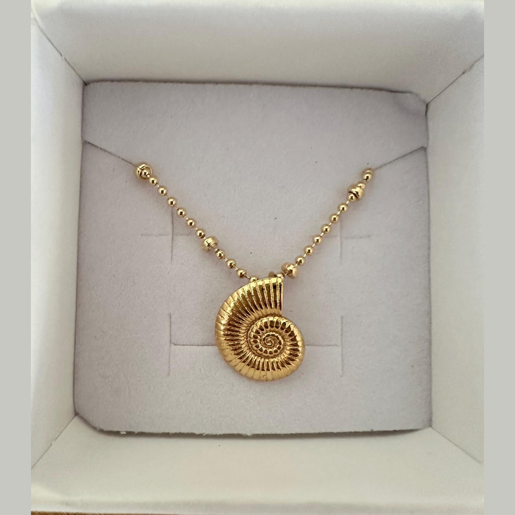 18k Gold Filled Sea Shell Necklace - Dainty Beach Jewelry